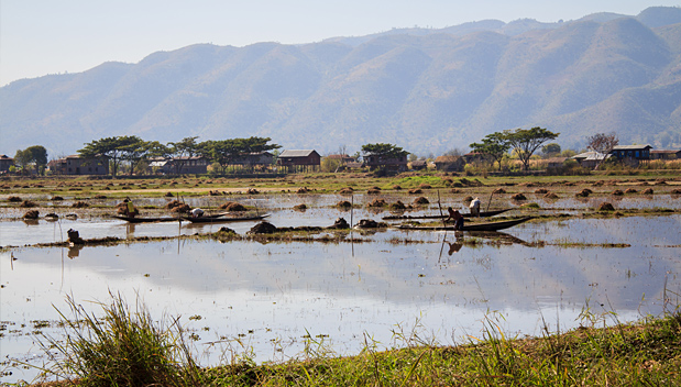 Plantages even buiten Nyaung Shwe